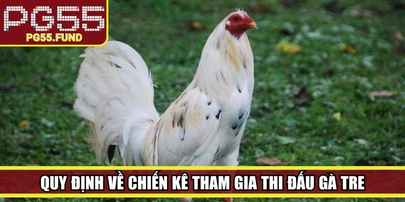 Quy định về chiến kê tham gia thi đấu gà tre
