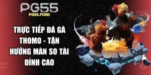 Trực Tiếp Đá Gà Thomo